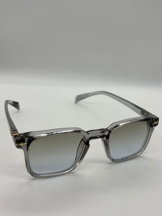 Moscot photochromique Clarus 2